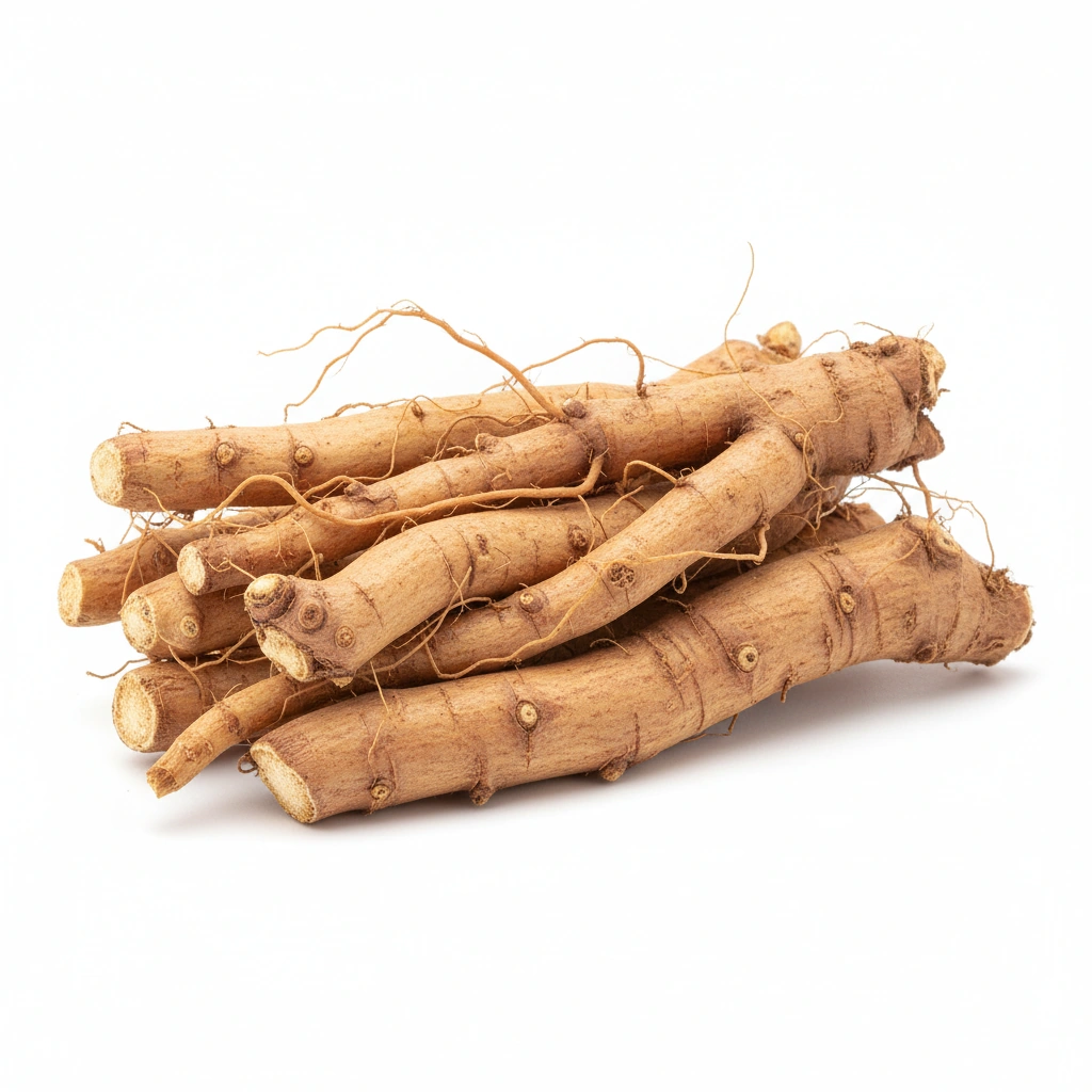 ASHWAGANDHA EXTRACT (ROOT)(5% WITHANOLIDES)
