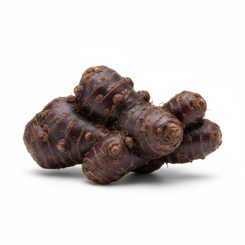 ANGELICA GIGAS ROOT POWDER