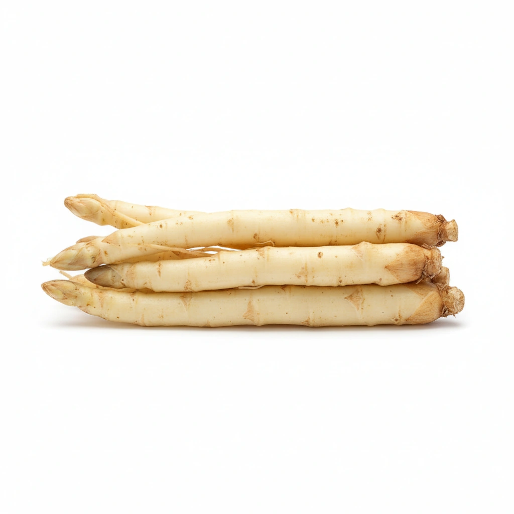 ASPARAGUS RACEMOSUS 10:1 EXTRACT (SHATAVARI ROOT) 