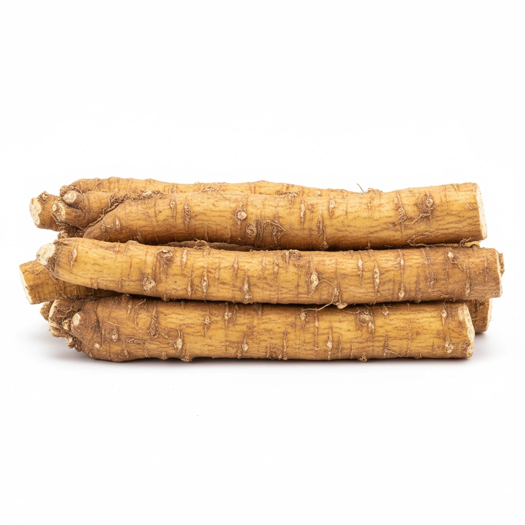 ASTRAGALUS EXTRACT 10:1 (ROOT)