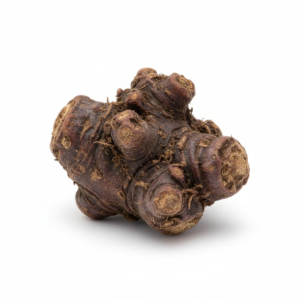 BLACK COHOSH POWDER (ROOT)