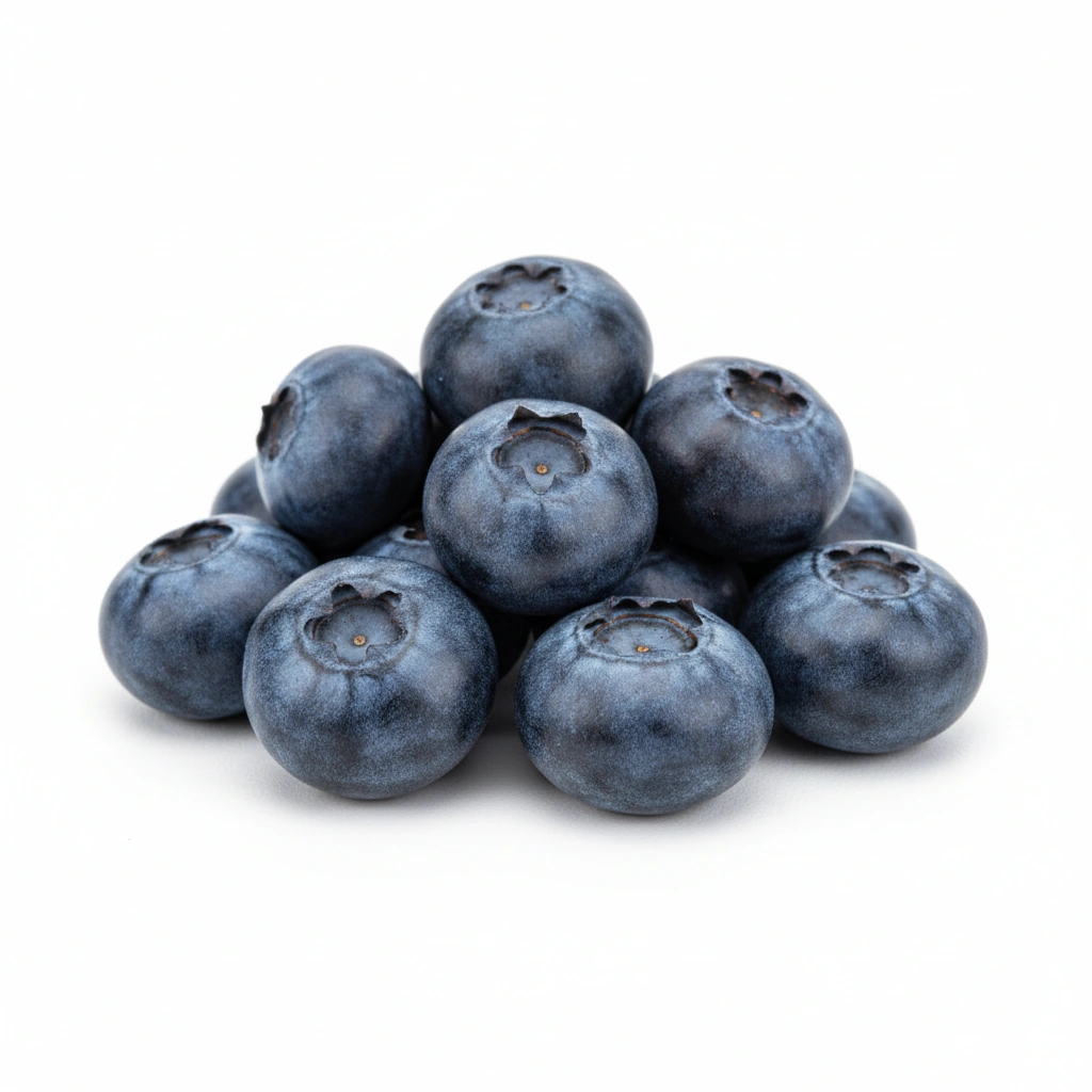 BLUEBERRY POWDER (FRUIT)
