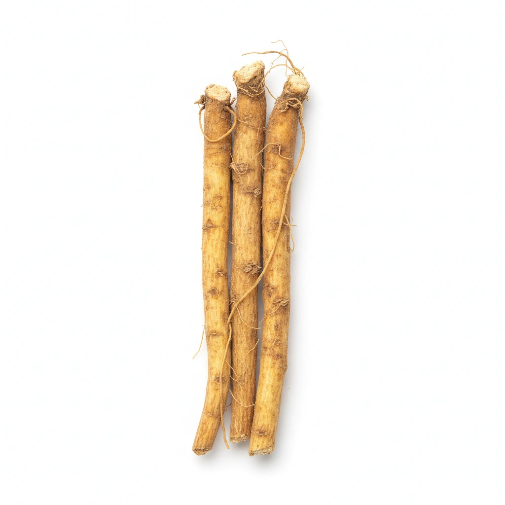 Bupleurum Extact 10:1 (Bupleurum chinense DC) (root)