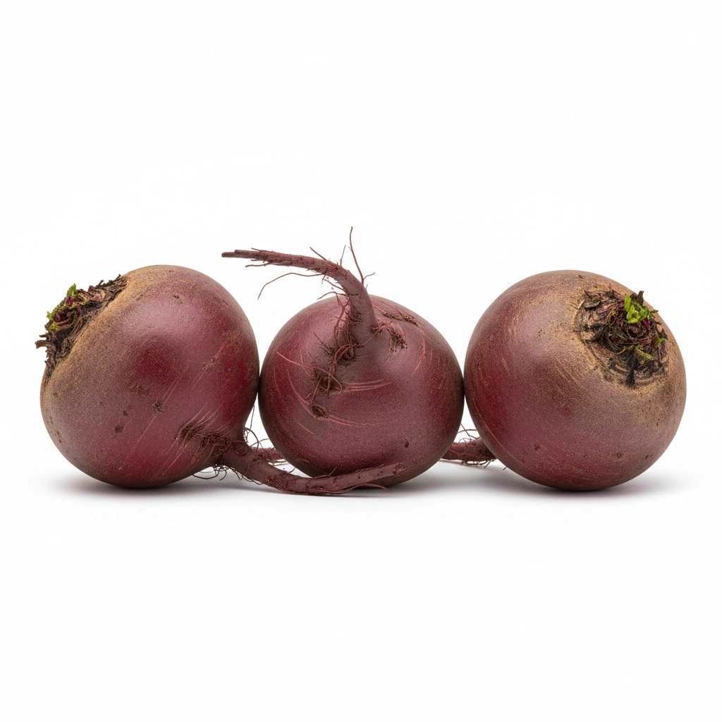 BEET ROOT 10:1 (BETA VULGARIS) (ROOT)
