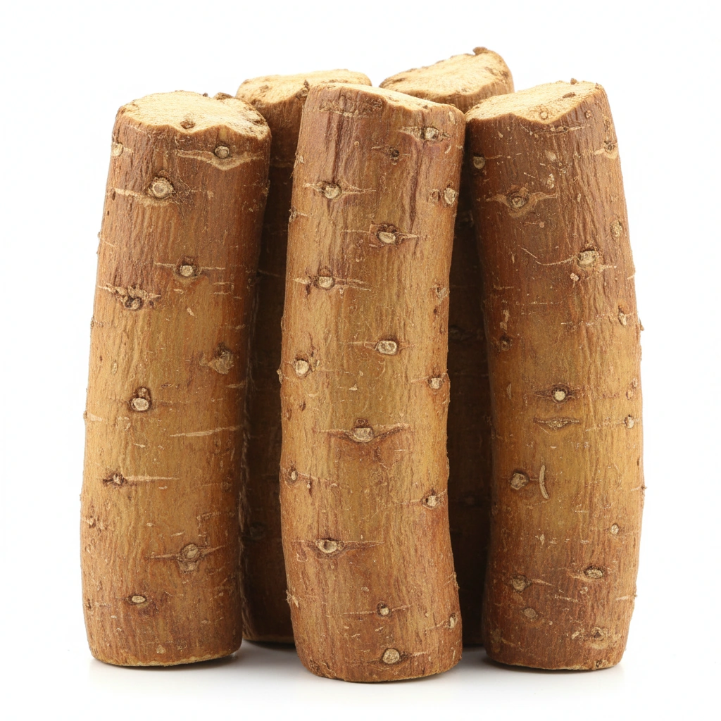 CISTANCHE EXTRACT 10:1 (STEM) (CISTANCHE DESERTICOLA) 