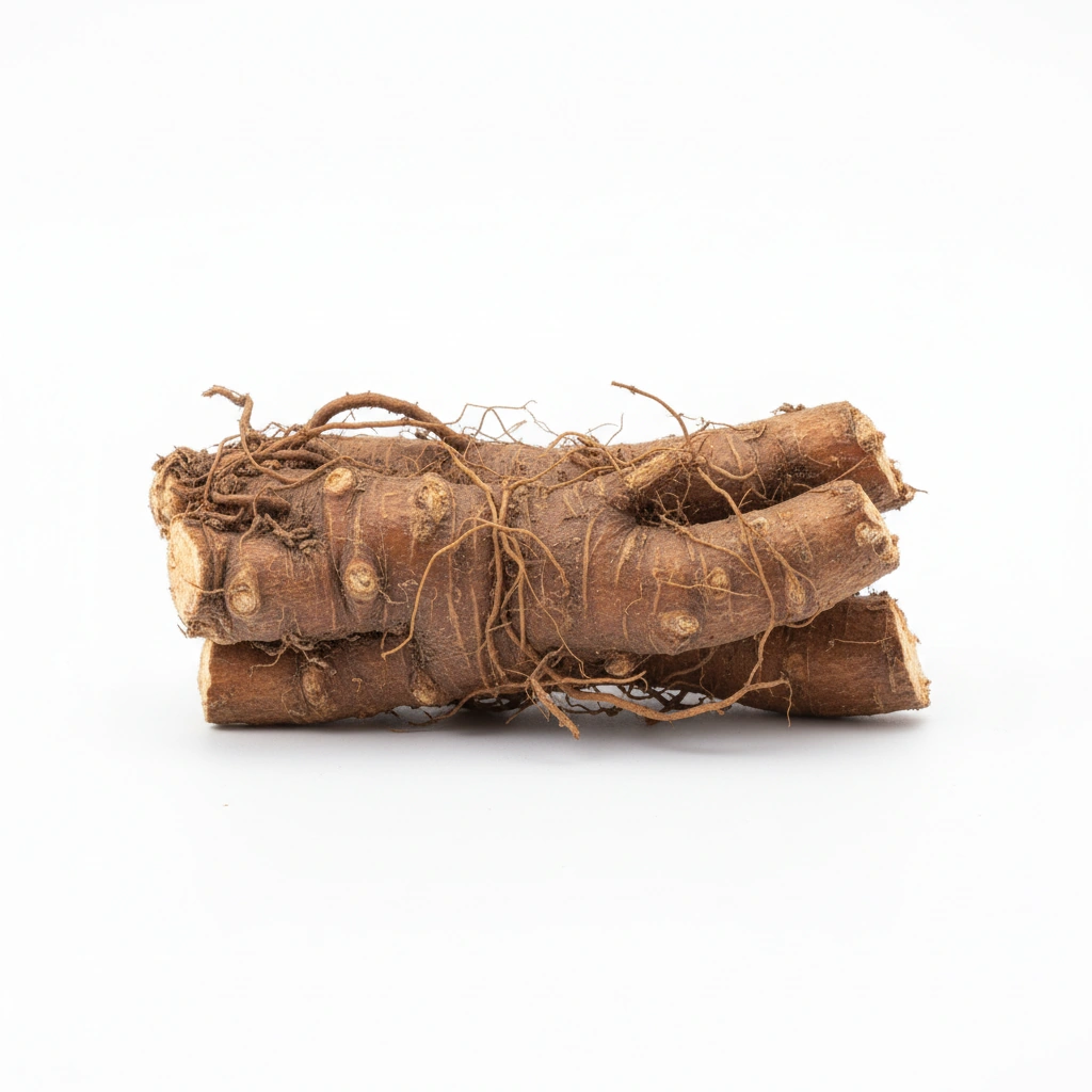 Coleus barbatus Extract (root) {>10% forskolin}{AKA Coleus forskohlii}