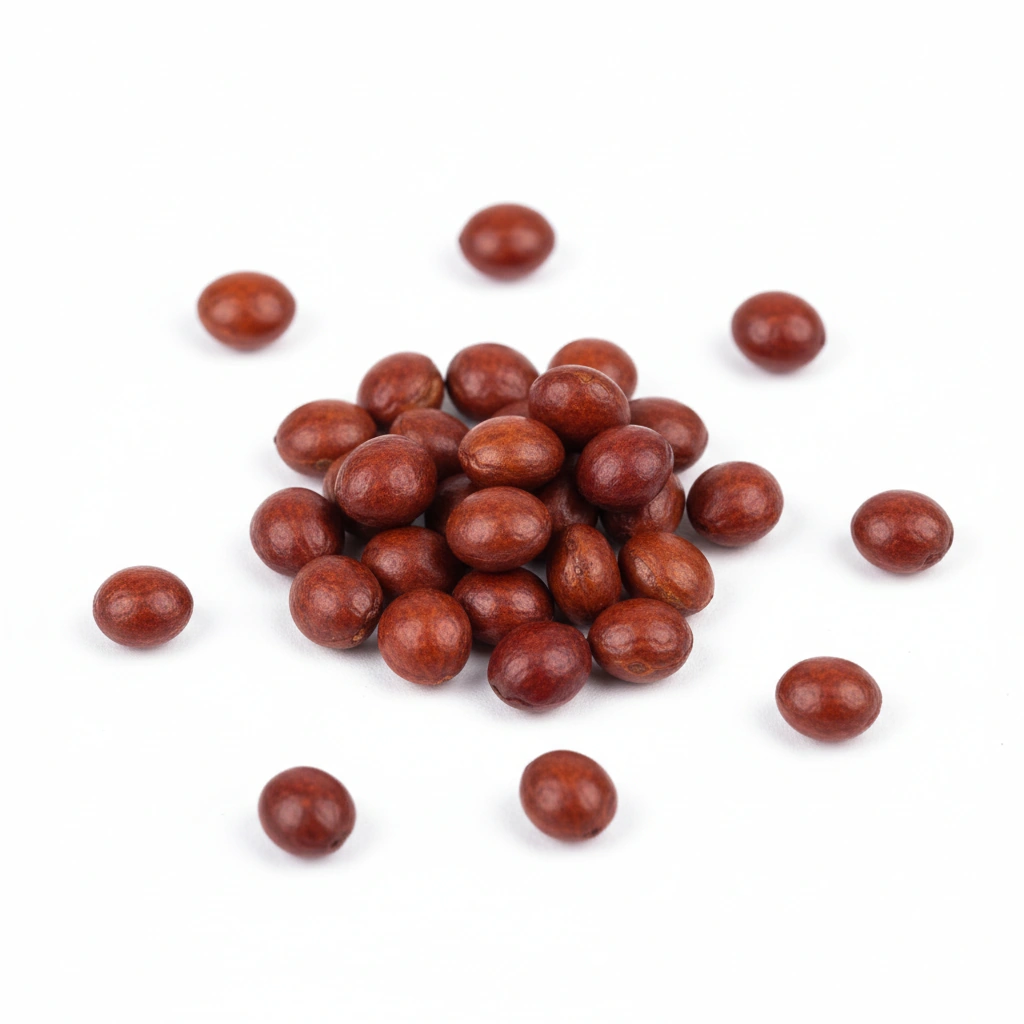 CELASTRUS PANICULATUS SEED EXTRACT