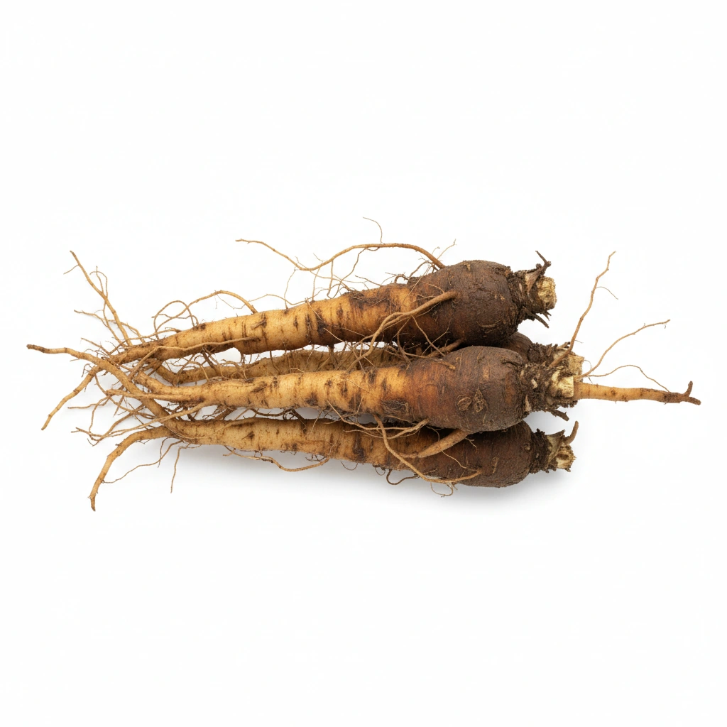 Dandelion Root Extract 10:1 BN