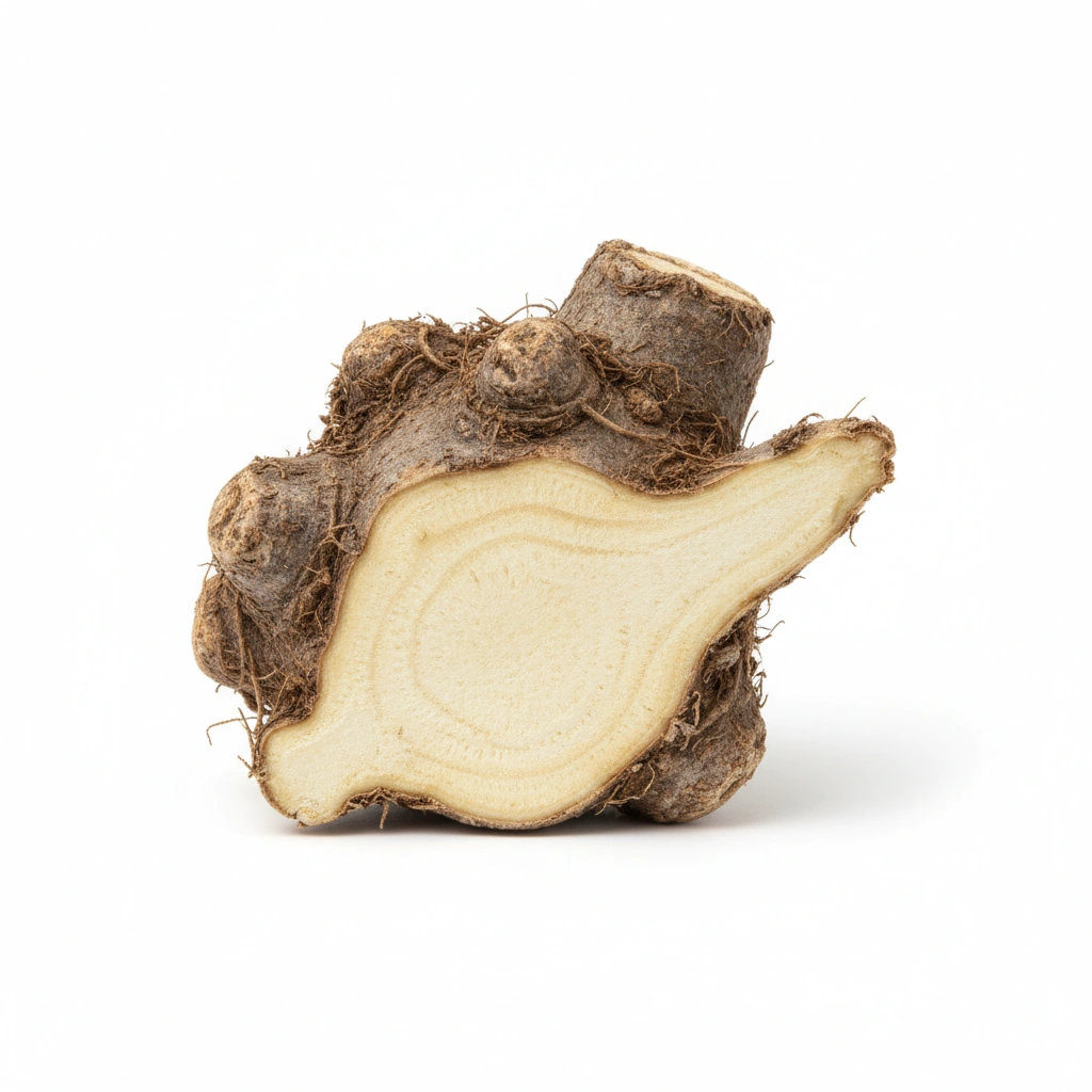 Elecampane Root Extract 4:1 (Inula helenium)