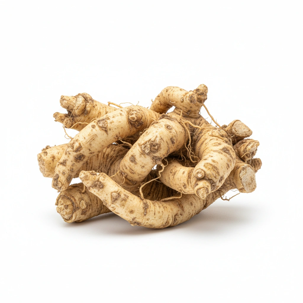 ELEUTHERO POWDER (ROOT)