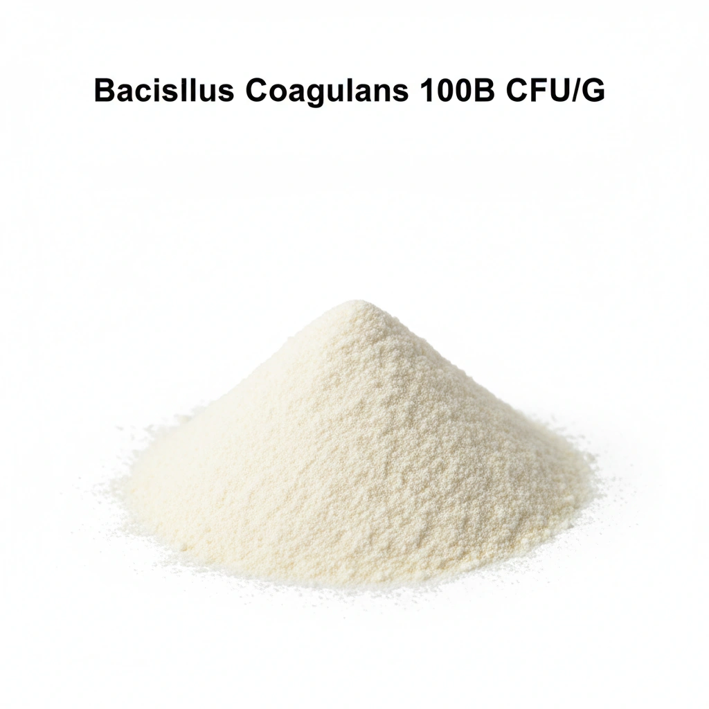 BACILLUS COAGULANS VIABLE CELL COUNT: 100B CFU/G 
