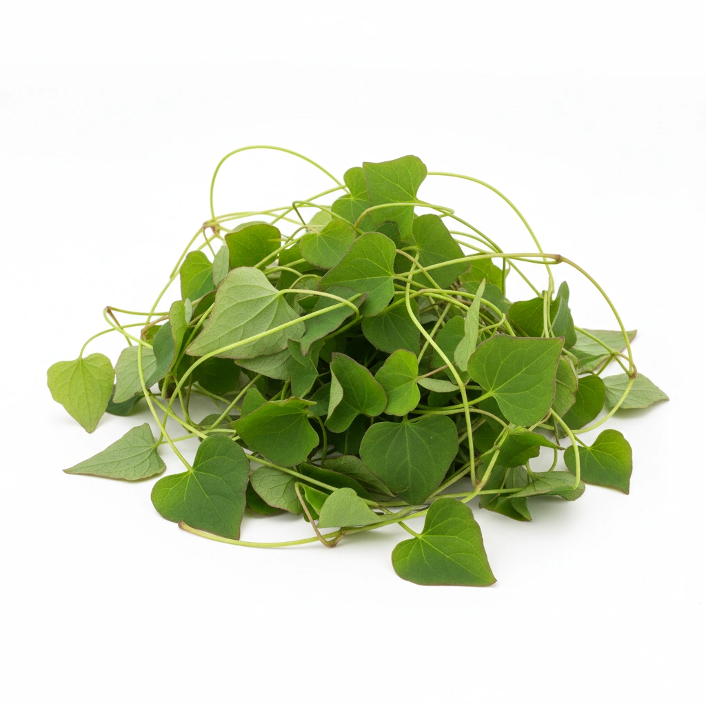 HORNY GOAT WEED EXTRACT 10:1 (EPIMEDIUM SAGITTATUM)(LEAF AND STEM)