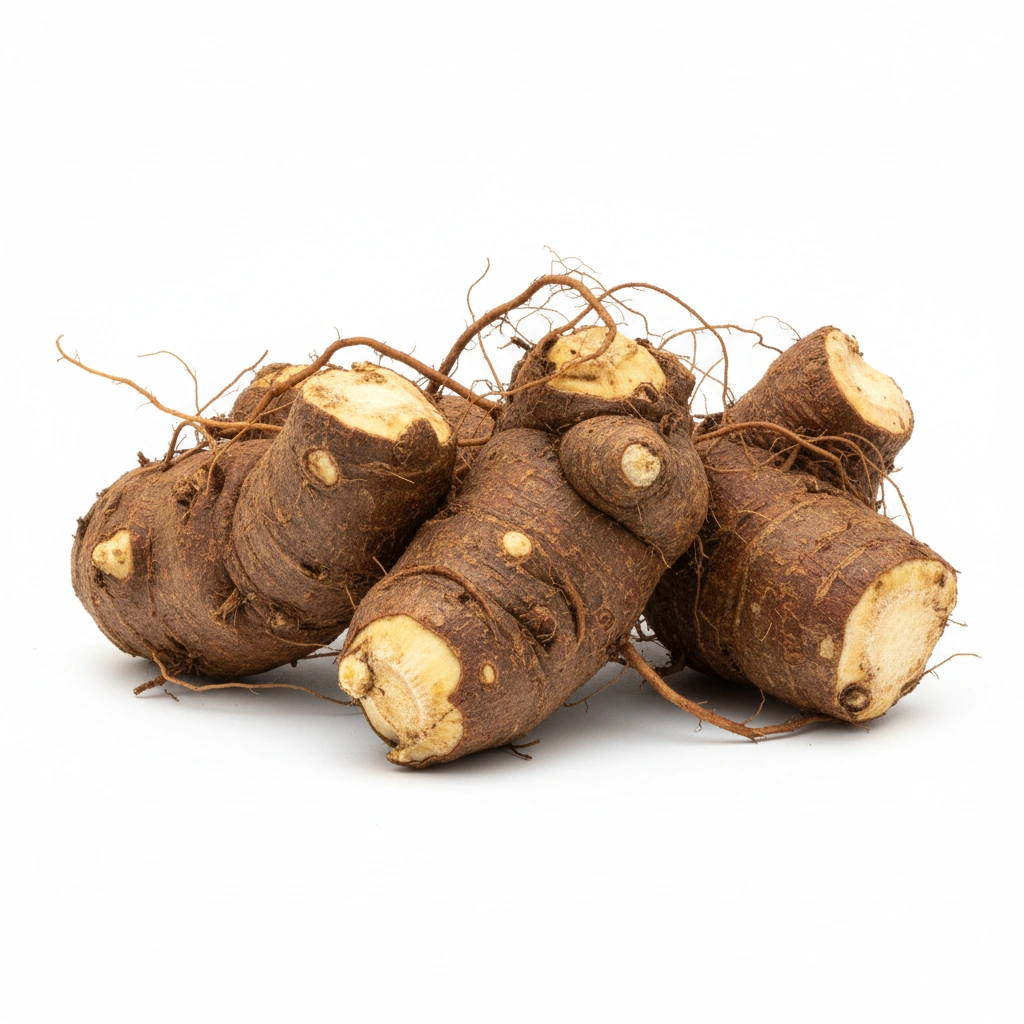 COLEUS FORSKOHLII EXTRACT (ROOT)