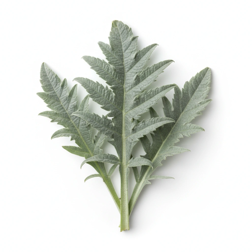 GLOBAL ARTICHOKE LEAF POWDER (CYNARA SCOLYMUS)