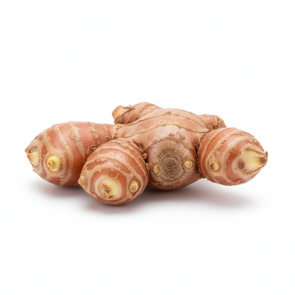 GALANGAL RHIZOME EXTRACT (ALPINIA OFFICINARUM HANCE) (ROOT)