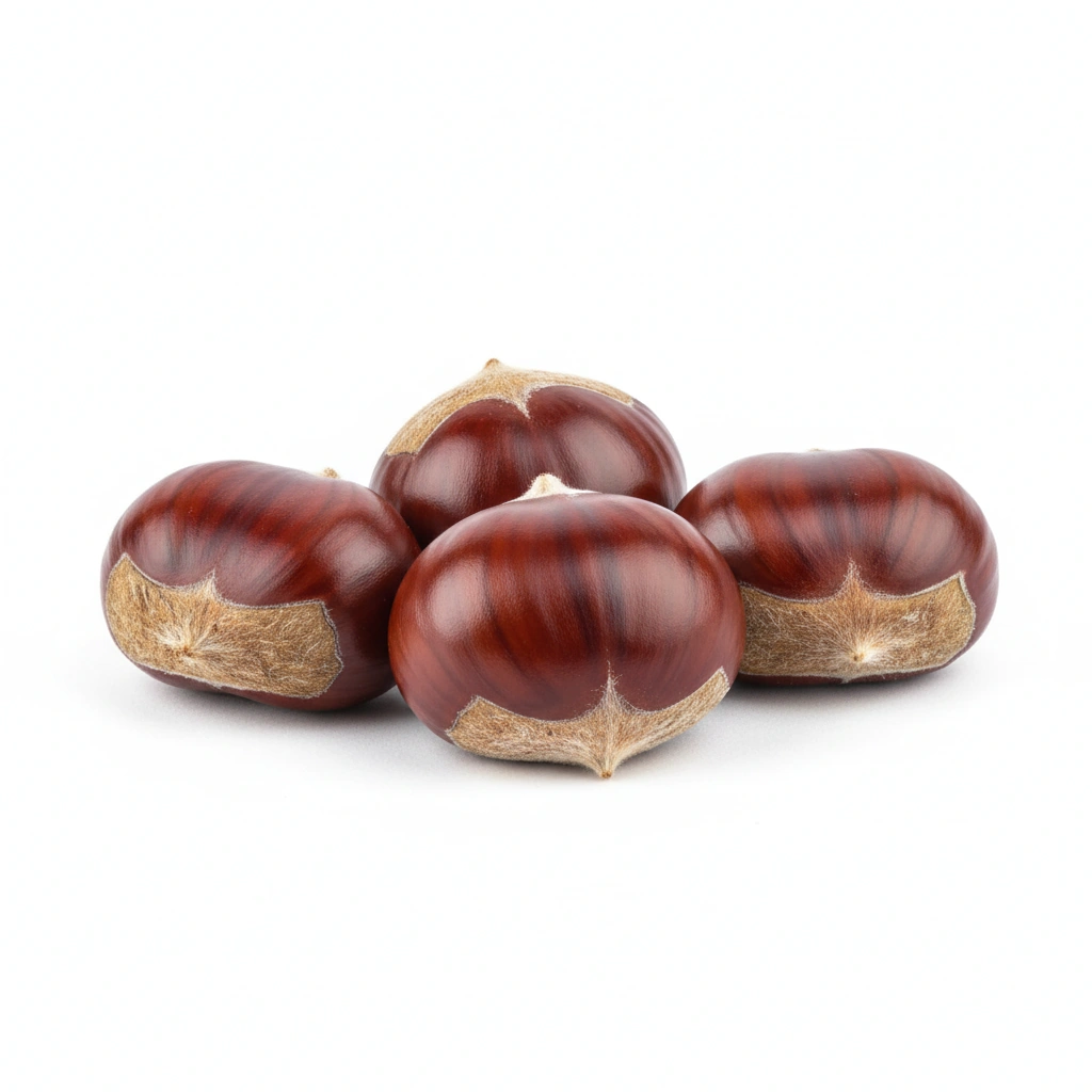 HORSE CHESTNUT EXTRACT (AESCULUS HIPPOCASTANUM)(SEED) (STD. TO 20% AESCIN) 