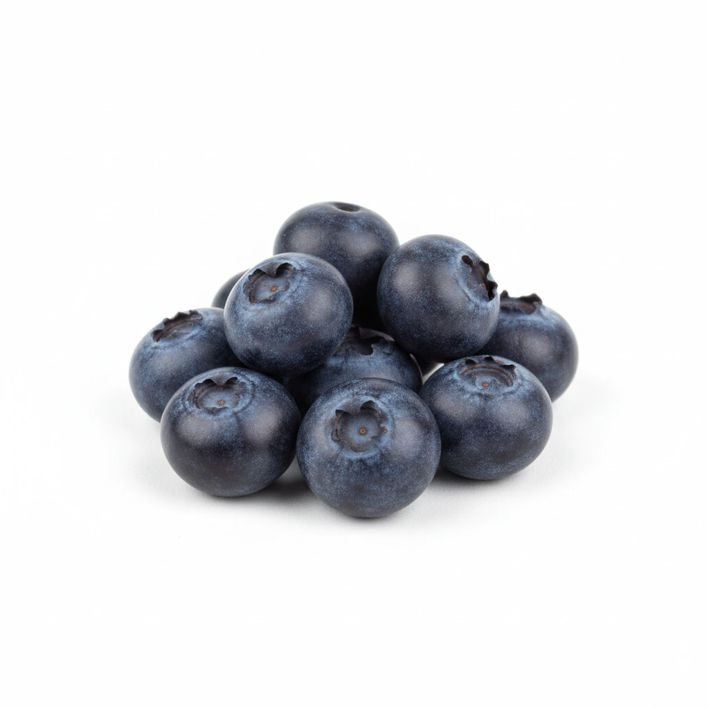 BILBERRY EXTRACT