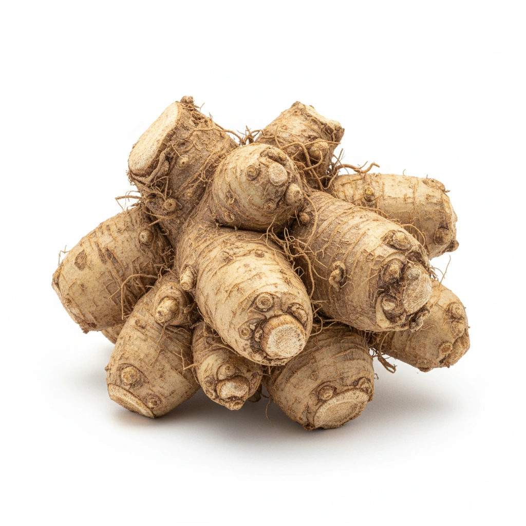 Kava-Kava Extract (Piper mathysticum)(std. to 70% kavalactones)