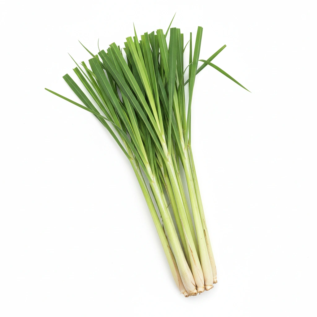 LEMONGRASS POWDER (LEAF)