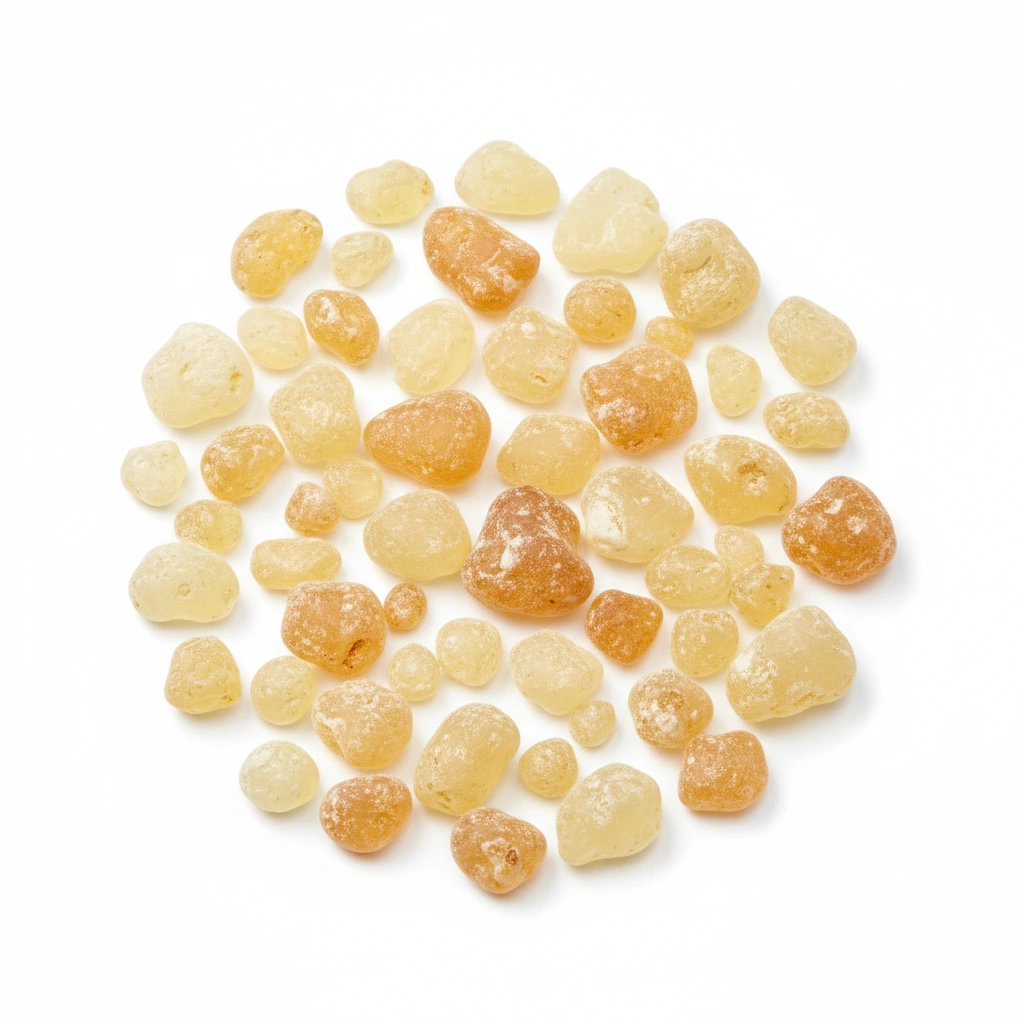 MASTIC GUM POWDER (PISTACIA LENTISCUS)(GUM RESIN)
