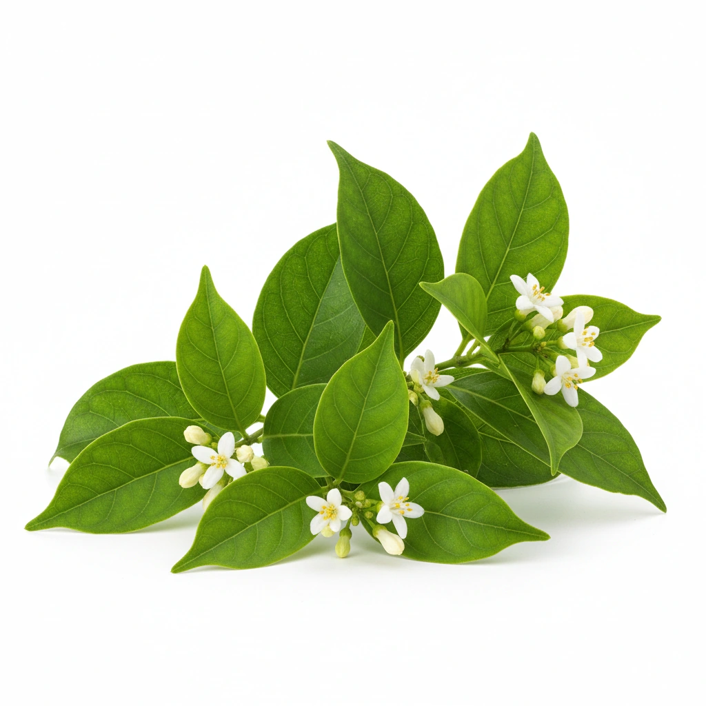 NATURAL MASKING AGENT FLAVOR