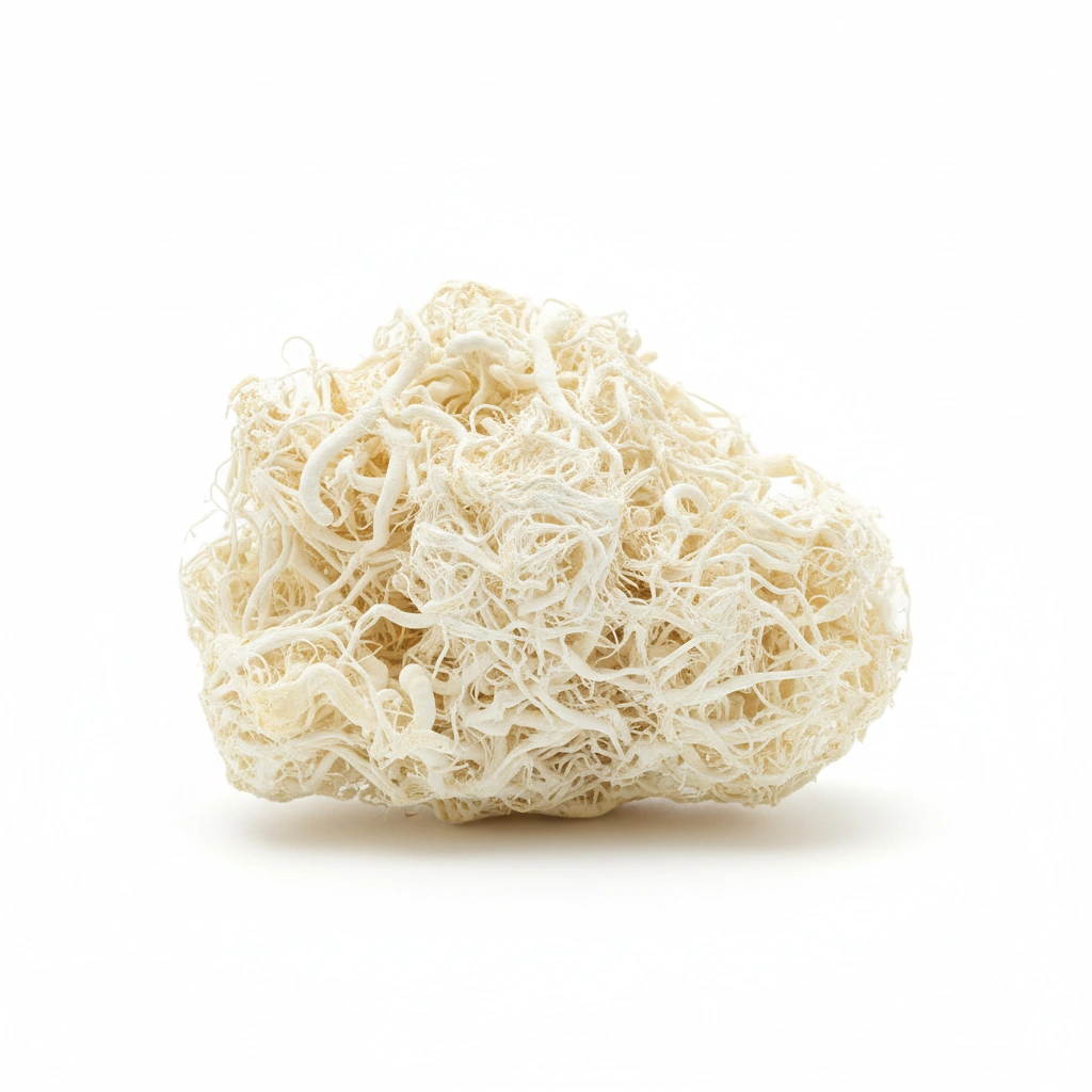 Organic Cordyceps Mushroom Extract (Cordyceps militaris)(mycelium)