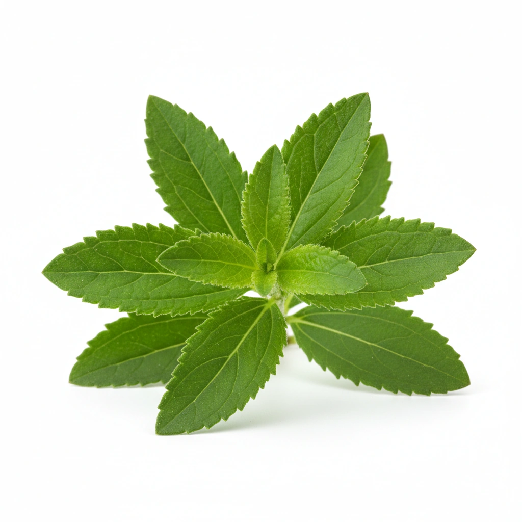 Steviol Glycosides (as OnoSweet™)