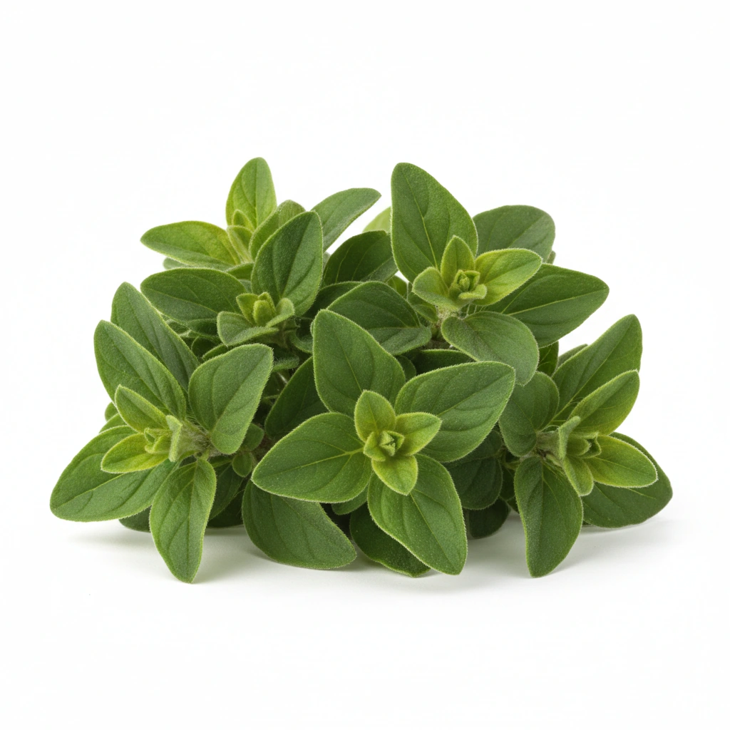 OREGANO POWDER (LEAF)