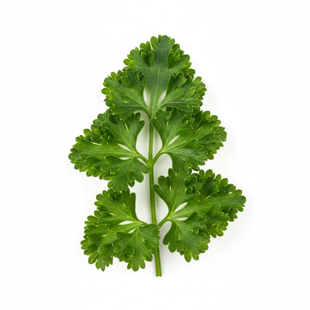 Parsley Flakes (Petroselinum crispum)(leaf)