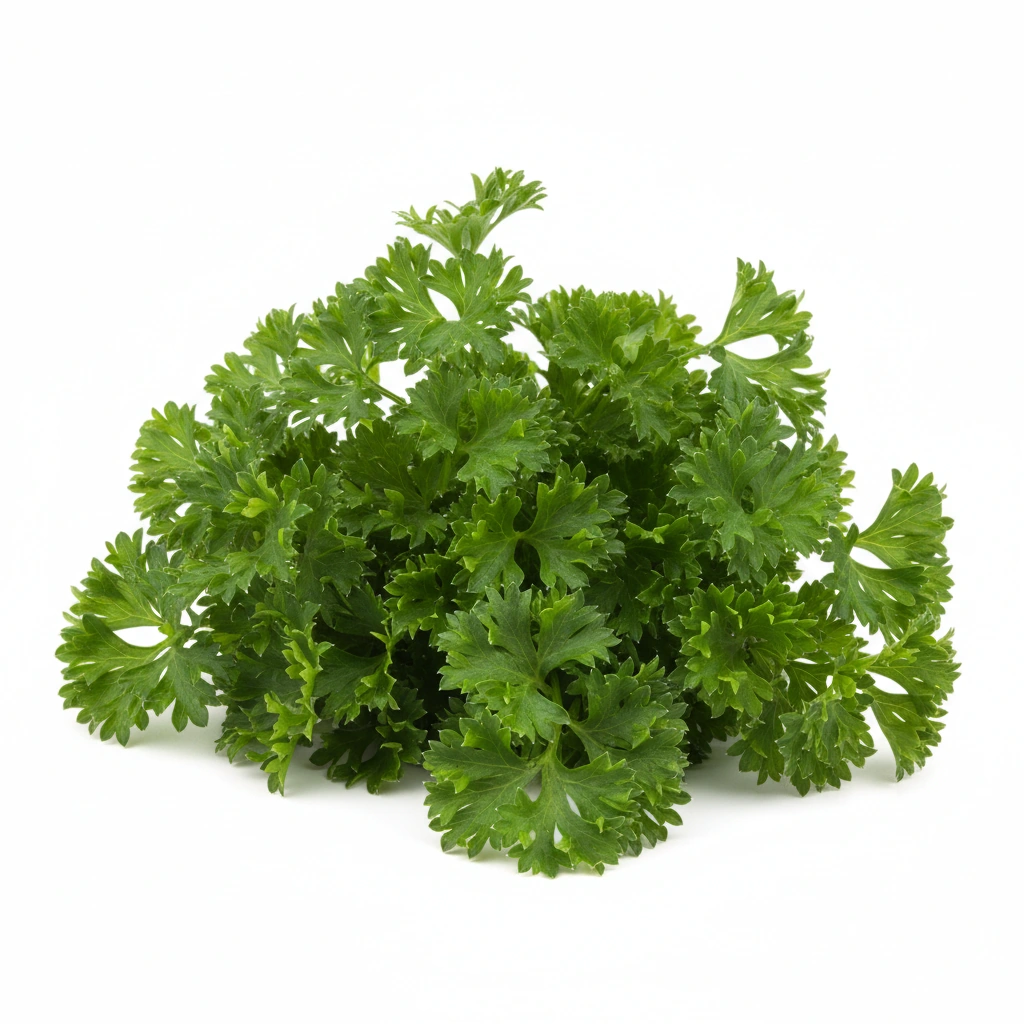 PARSLEY LEAF POWDER
