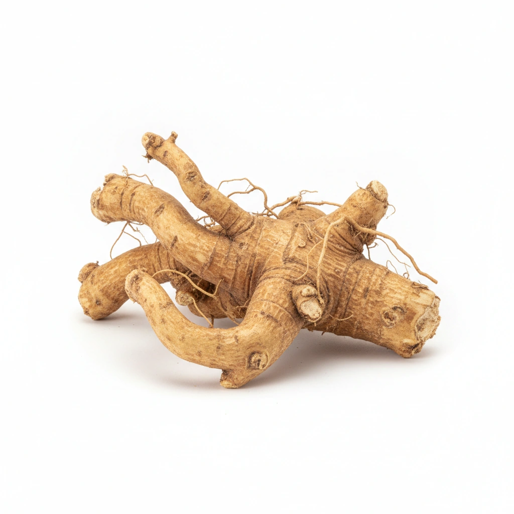 PLEURISY ROOT POWDER (ASCLEPIAS TUBEROSA)