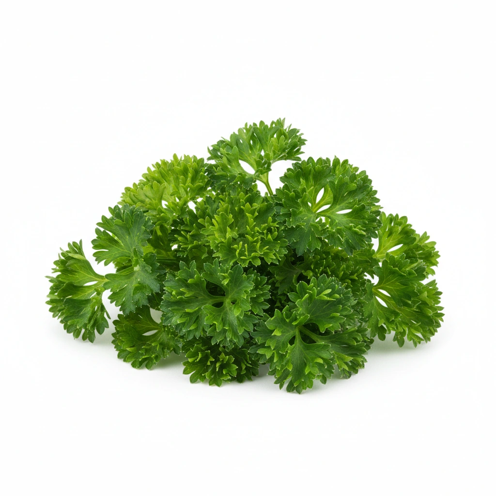 Parsley Leaf Extract 10:1
