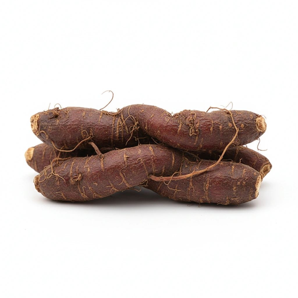 REHMANNIA GLUTINOSA EXTRACT 10:1 (ROOT)