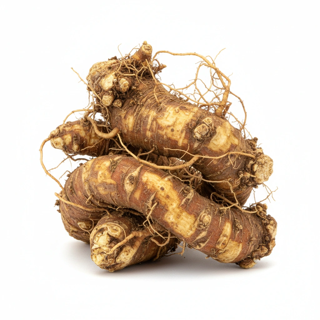 RHODIOLA ROSEA POWDER