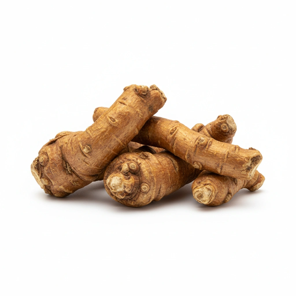 RHODIOLA ROSEA EXTRACT 4:1 (ROOT)