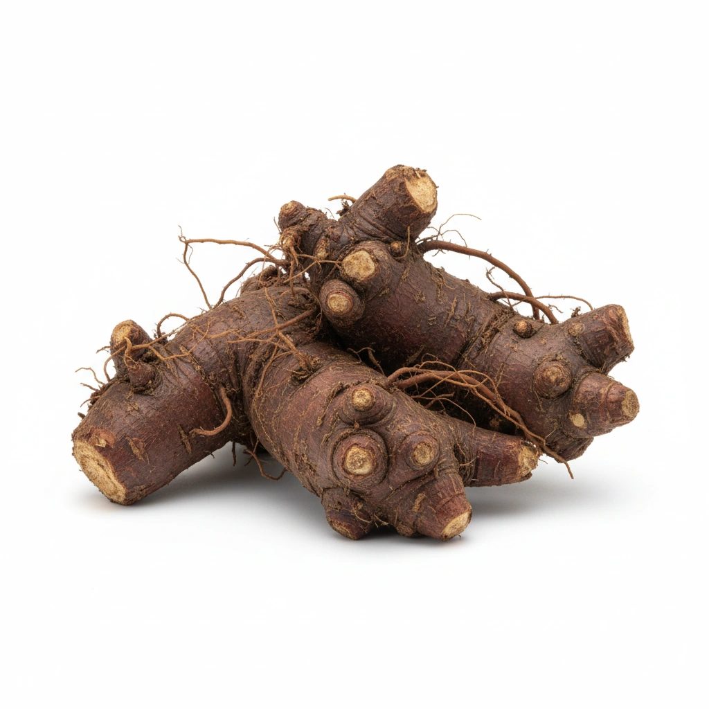 JAPANESE KNOTWEED EXTRACT (20% RESVERATROL)(POLYGONUM CUSPIDATUM)(ROOT)