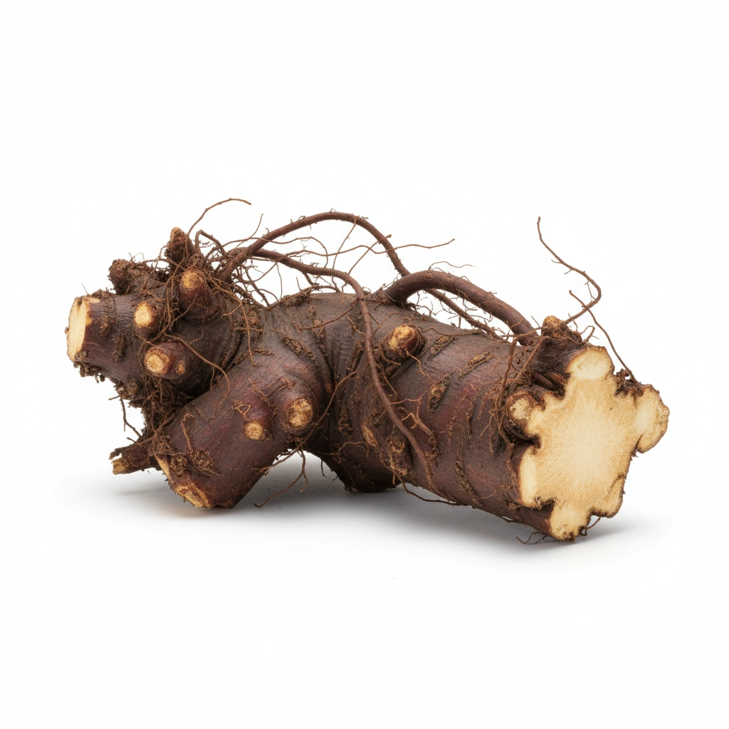 JAPANESE KNOTWEED EXTRACT (98% RESVERATROL)(POLYGONUM CUSPIDATUM)(ROOT)