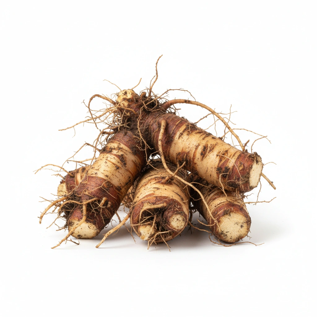 STINGING NETTLE EXTRACT 4:1 (URTICA DIOICA)(ROOT)