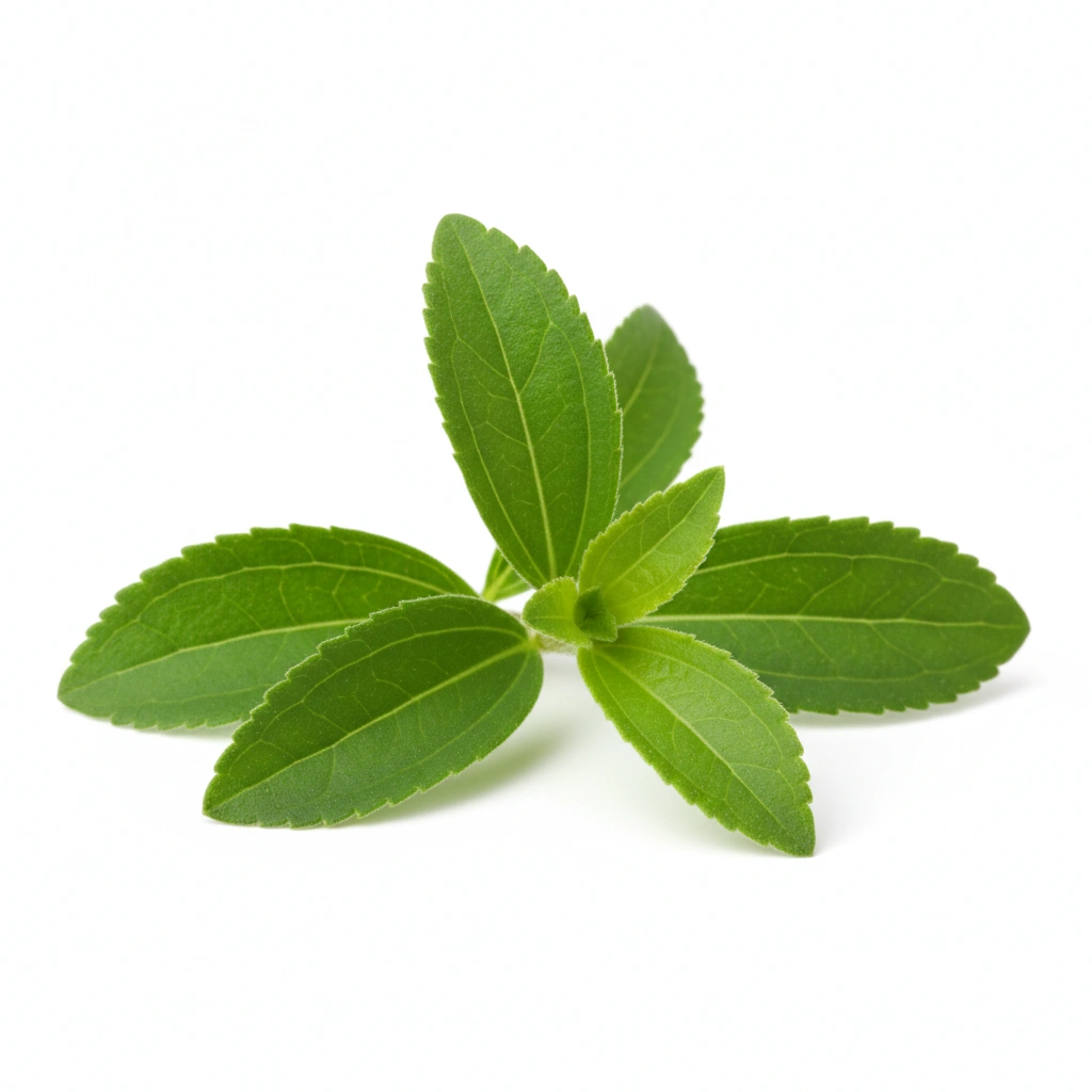 STEVIA EXTRACT 90% (LEAF)