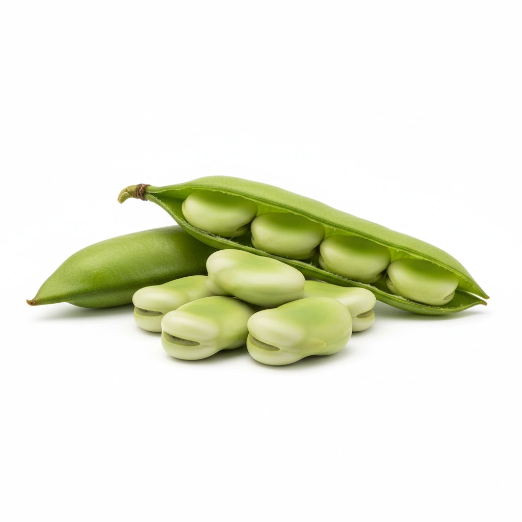 Tendra® Fava Bean Protein Isolate