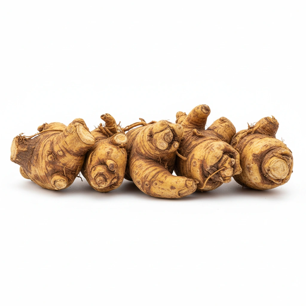 TONGKAT ALI EXTRACT 100:1 (EURYCOMA LONGIFOLIA)(ROOT)