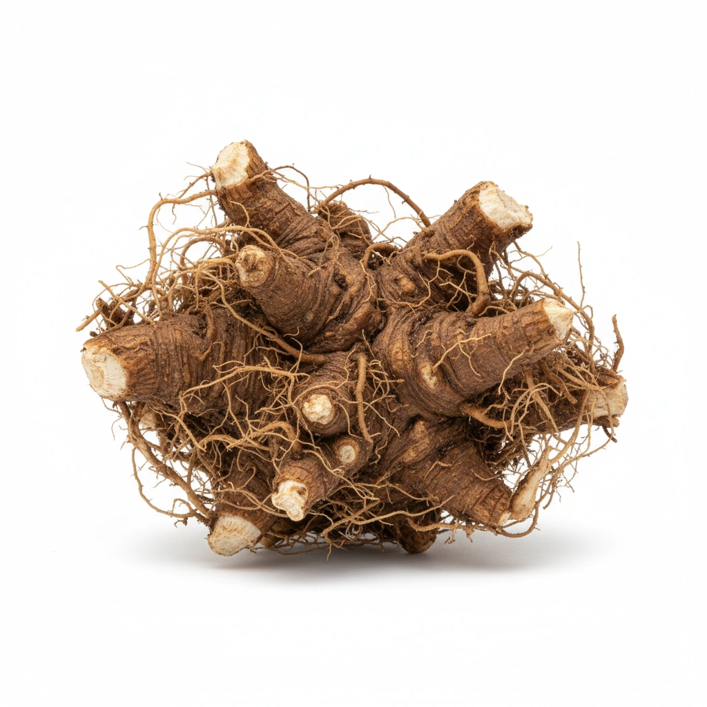 VALERIAN POWDER (ROOT)