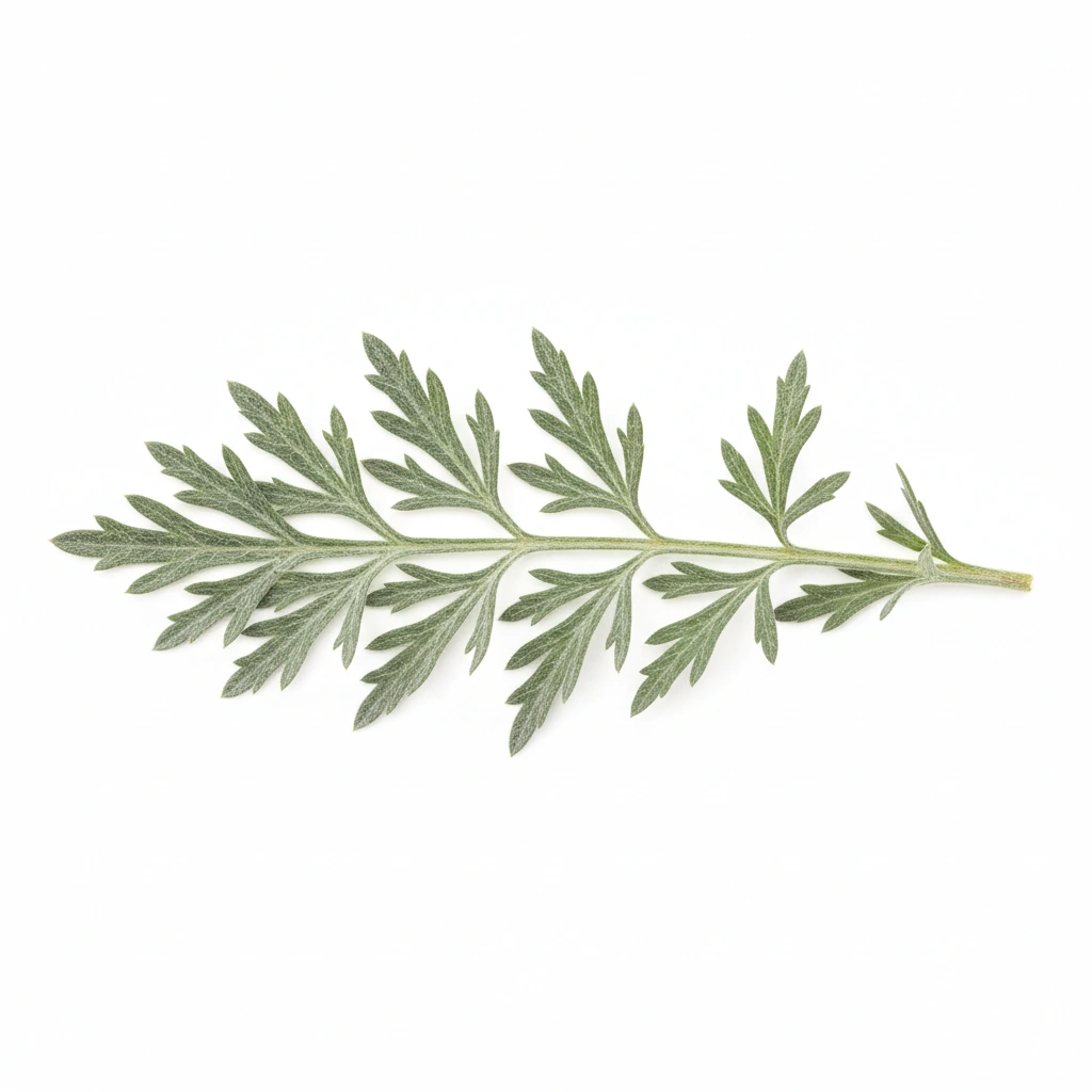 SWEET WORMWOOD POWDER (LEAF)